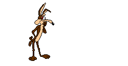 20051109150515-coyote96.gif