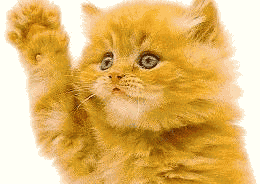 20051117213442-adios-gatito.gif