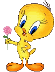 20051125204807-titi-11.gif