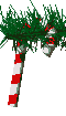 20051225201535-caneclr.gif