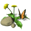 20051225201828-dandilion-butterfly-md-wht.gif