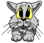 20060215030409-akitty.gif