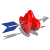 20060220053357-flechazo.gif