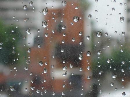20060724021613-untitled2.jpg