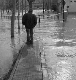 20061121200122-camino-de-ti.jpg