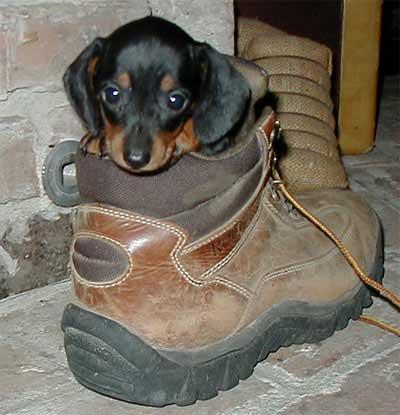 20070326024229-untitled.jpg