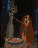 20070418030022-dyb1.gif