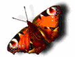 20070602224743-9.gif