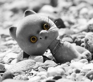 20070617150242-peluche.jpg