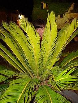 20080327020630-mensaje.jpg