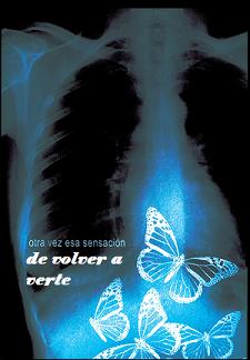 20080520112225-mariposas.jpg