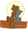 640_chats_amoureux.gif