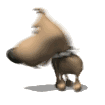 Tiny.gif