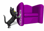 cat_scratching_chair_md_wht.gif