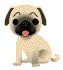 dog10.gif
