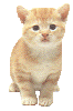 katze036.gif